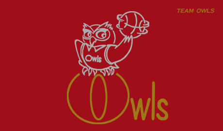 TEAM OWLS  ooXPbgT[N OB